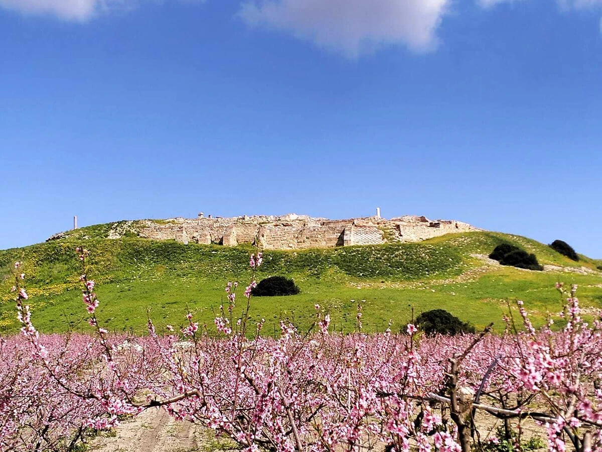 Il sito archeologico di Canne della Battaglia a pochi kilometri da Barletta.
